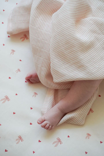 Cam Cam Mπαντάνα Σαλιάρα 2τμχ.classic Stripes Rose