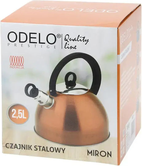 Odelo Βραστήρας Ανοξείδωτος 2500ml Odelo Βραστήρας Ανοξείδωτος 2500ml