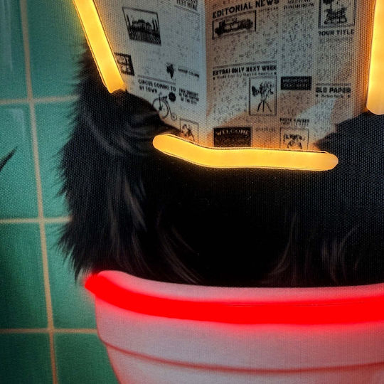 "toilet Cat" Neon LED Lighted Painting 50x70 cm