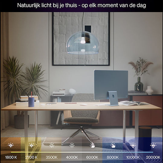 Philips Smart Lampe LED für Fassung E27 Einstellbar Weiß 1600lm