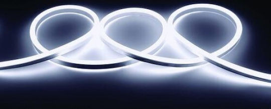Evivak Waterproof LED Strip Cold White Light 50m Neon Flex