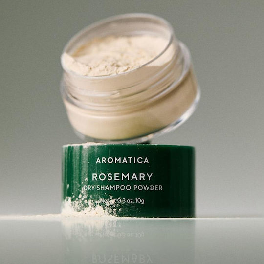 Rosemary Ξηρό Σαμπουάν Όγκου 10gr