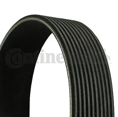 Contitech 10pk1494 Curea de transmisie cu caneluri