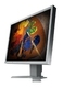 Eizo FlexScan S2100 VA Монитор 21.3" с време за реакция 8мс GTG