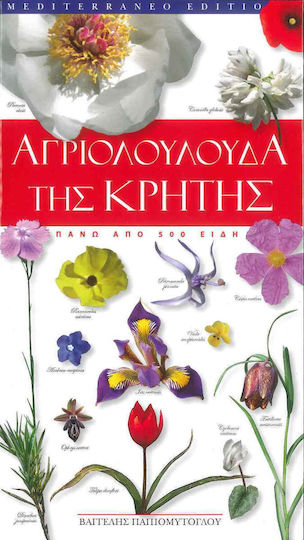 Αγριολούλουδα της Κρήτης Αγριολούλουδα της Κρήτης
