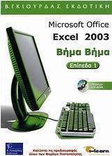 Microsoft Office Excel 2003, Επίπεδο 1