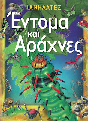 Έντομα και αράχνες