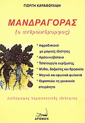 Μανδραγόρας, Ο ανθρωπόμορφος