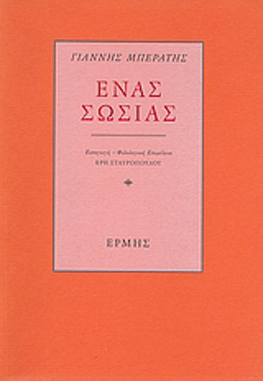 Ένας σωσίας, Τα σπαράγματα ενός χαμένου βιβλίου