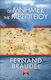 Οι μνήμες της Μεσογείου, Prehistory and antiquity