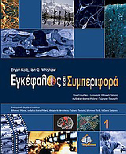 Εγκέφαλος και συμπεριφορά Εγκέφαλος και συμπεριφορά