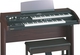 Roland Synthesizer AT-75 mit 49 Dynamisch Tasten Schwarz
