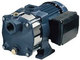 Ebara Compact AM/6 Electric Surface Water Pump 0.6hp Single-Phase