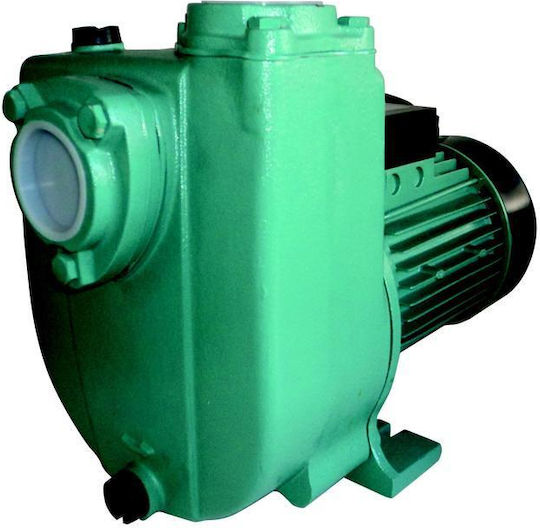 Plus SW M Electric Surface Water Pump with Automatic Suction 2hp Single-Phase