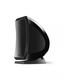 Focal Sib