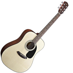 Fender CD-60 Natural