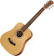 Taylor Acustică Chitară Natural