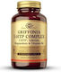Solgar 5-HTP 90 Φυτικές Κάψουλες Unflavoured