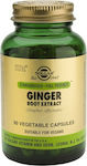 Solgar Ginger Root Extract 60 veg. caps