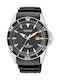 Citizen Promaster Watch Eco - Drive with Black Rubber Strap