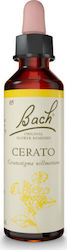 Bach Cerato Flower Essence in Drops 20ml