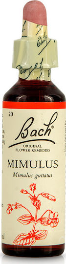 Bach Mimulus Flower Essence in Drops for Relaxation 20ml