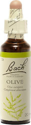 Bach Olive Ανθοΐαμα 20ml