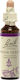 Bach Water Violet Ανθοΐαμα σε Σταγόνες για Χαλάρωση 20ml