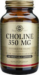 Solgar Choline 350mg 100 φυτικές κάψουλες