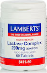 Lamberts Lactase Complex 200mg 60 tabs