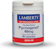 Lamberts Pycnogenol 40mg Ειδικό Συμπλήρωμα Διατροφής 60 κάψουλες