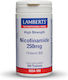 Lamberts Nicotinamide Витамин за здравето на Нервната система 250мг 100 Таблетки