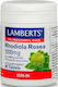 Lamberts Rhodiola Rosea 1000mg 90 ταμπλέτες