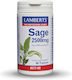Lamberts Sage 2500mg Supliment Pentru Menopauză 90 Comprimate