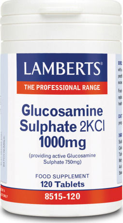 Lamberts Glucosamine Sulphate 2KCl 1000mg Supplement for Joint and Bone Health 120 Tablets