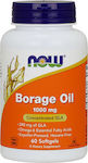 Now Foods Borage Oil Concentrated GLA Ulei de semințe de borș 1000mg 60 softgels