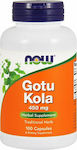 Now Foods Gotu Kola Готу Кола 100 капси