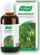 A.Vogel Avenaforce 100ml