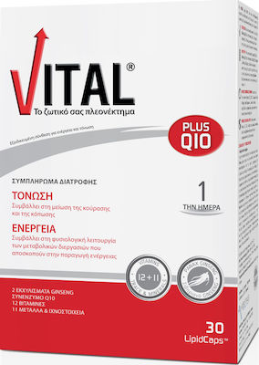 Vital Plus Q10 Vitamin for Energy 10mg 30 softgels