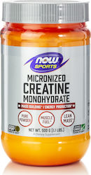 Now Foods Creatine Monohydrate Powder 500gr