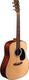 Sigma Guitars Acoustic Guitar Natural