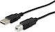 Equip USB 2.0 Cable USB-A male - USB-B male 1.8m (128860)