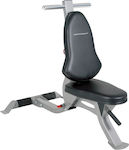 BodyCraft Adjustable Workout Bench