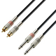 Adam Hall Audio Cable 2x 6.3mm male - 2x RCA male 3m (K3TPC0300)