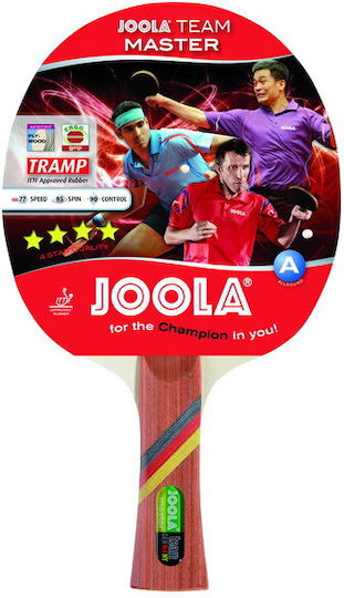 Joola Team Master (A) Ping Pong Racket