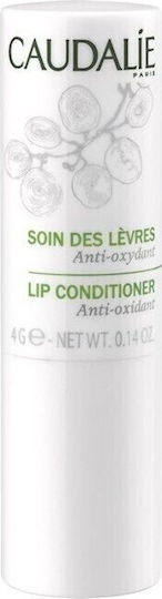 Caudalie Lip Conditioner Lip Balm 4.5gr