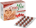 Uni-Pharma Cranfix Cranberry 60 μαλακές κάψουλες