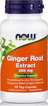 Now Foods Ginger Root Extract 250mg Ingwer 90 veg. Kappen