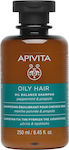 Apivita Oil Balance Peppermint & Propolis Σαμπουάν για Βαθύ Καθαρισμό για Λιπαρά Μαλλιά 250ml
