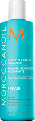 Moroccanoil Moisture Repair Shampoos Reconstruction/Nourishment for Dry Hair 250ml